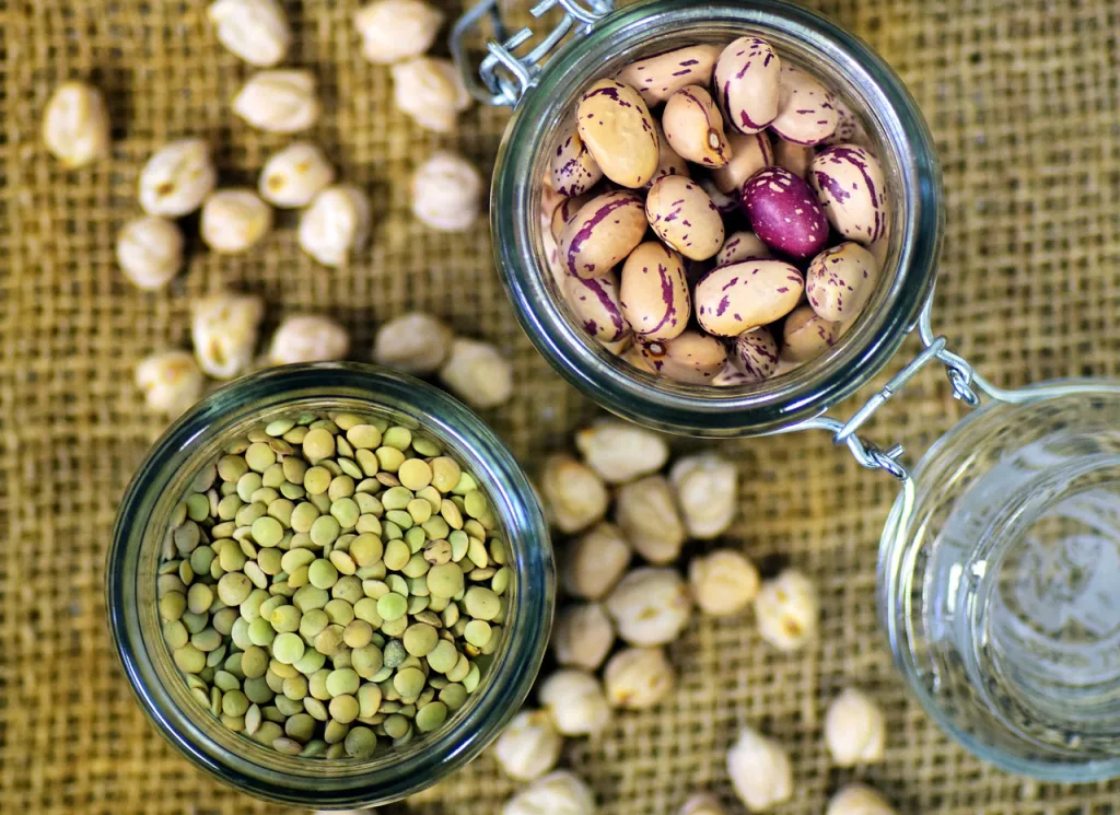 Giardiniere con una paletta di pellet di biochar fatto di erbe con pirolisi  che può essere usato come un emendamento di suolo o per fare Terra Preta  Foto stock - Alamy